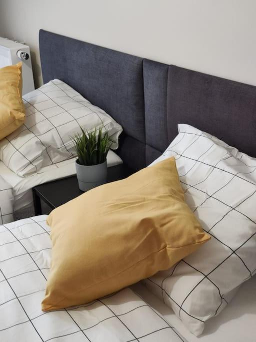 Piekny Apartament 3-Pokojowy Katowice Kültér fotó